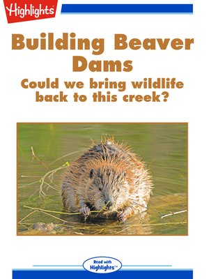 cover image of Building Beaver Dams